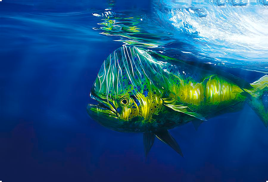 mahi